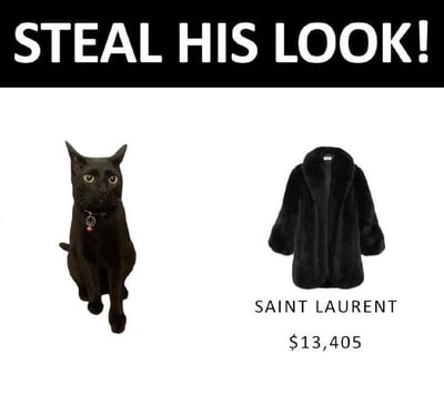 图片上方以黑色背景白色粗体字写着“STEAL HIS LOOK!”（偷他的造型），下方左侧是一只坐着的黑猫，毛色纯黑，戴着银色项圈和红色吊坠，眼睛圆睁看向镜头；右侧是一件黑色皮草大衣，标注品牌“SAINT LAURENT”及价格“$13,405”。通过将黑猫的黑色毛发与昂贵的皮草大衣并置，制造幽默效果，调侃时尚界高价单品与动物自然特征的“撞衫”，属于轻松搞笑的时尚吐槽梗图。
