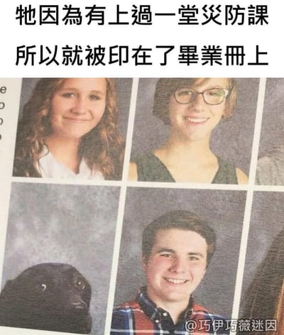 图片上方有两行黑色文字：“她因為有上過一堂災防課 所以就被印在了畢業冊上”，下方是一张毕业册照片网格，包含多张学生肖像照，其中一个格子里却是一只黑色犬的照片，通过将犬的照片混入学生毕业照中，结合上方文字形成幽默效果，暗示这只狗因“上过防灾课”而“入选”毕业册，制造出荒诞又搞笑的反差感。