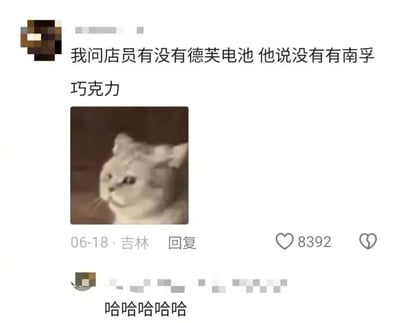 这是一张社交媒体用户评论截图，顶部用户发布的内容为“我问店员有没有德芙电池 他说没有有南孚巧克力”，是典型的口误混淆梗：德芙本是巧克力品牌、南孚本是电池品牌，用户和店员都把两个品牌对应的品类搞混，产生了荒诞的笑点。文字下方搭配了一张歪头、表情茫然疑惑的猫咪表情包，对应听到该内容时的懵逼心情。该评论发布于6月18日，定位为吉林，获得了8392个点赞，下方还有另一位用户的评论回复“哈哈哈哈哈”，表达对该内容的好笑情绪。