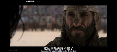 这是一张二次创作的历史梗图，截取了电影《天国王朝》中萨拉丁的严肃画面，在画面顶部添加了“钓鱼城之战。。。”的文字，画面底部配有中英双语字幕“这反倒是再好不过了 / I wonder if it would not be better if you did.”，将西方中世纪君主的影视形象与中国南宋钓鱼城之战的历史事件结合，制造跨历史的玩梗效果，画面背景是模糊的战场军队，整体氛围严肃凝重。