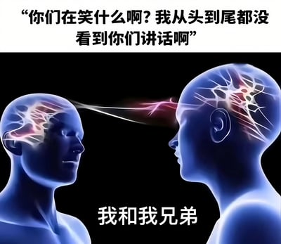 图片上方有文字“你们在笑什么啊? 我从头到尾都没看到你们讲话啊”，中间是两个蓝色半透明人头轮廓，他们的大脑之间有神经连接的可视化效果，下方文字写着“我和我兄弟”。这张梗图通过科学可视化风格的脑电波交流画面，幽默地表现了亲密兄弟之间无需言语就能交流的默契。