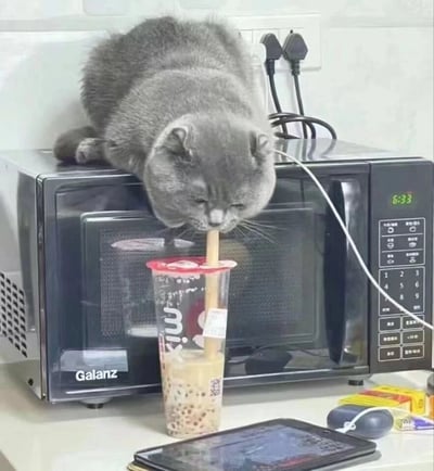 一只胖乎乎的灰色蓝猫正趴在黑色的Galanz微波炉顶部，身体前倾，用吸管专注地喝着放在微波炉前的珍珠奶茶。微波炉显示屏显示时间为6:33，旁边的台面上还放着平板电脑、鼠标和一些零食包装。猫咪眯着眼睛，一脸享受的模样，画面充满生活气息又十分可爱。