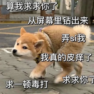 这是一张充满搞笑反差感的表情包，主体是一只摆出弓身紧绷肢体、表情欠揍的柴犬，图片上叠加了多句夸张的搞怪文字：“算我求求你了”“从屏幕里钻出来”“弄si我”“我真的皮痒了”“求一顿毒打”“求求你了”，以反向诉求的方式制造出滑稽的效果，适合在和好友互动时用来撒娇式挑衅、开玩笑，传递出一种“欠揍”的趣味情绪。