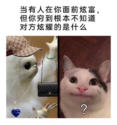 这是一张左右对比的搞笑网络梗图，上方配有精准概括场景的文字。左侧是一只被P满各类奢侈品的白色猫咪：戴着古驰品牌的帽子，挂着海洋之心样式的钻石项链，搭配香奈儿品牌的挎包，还有翡翠手镯、金戒指、手表等配饰，刻意营造出炫富的姿态；右侧是一只满脸疑惑的猫咪，面部带有问号，眼神迷茫，完美呈现出完全不懂对方炫富内容的状态。整张图用幽默夸张的方式，调侃了因经济水平和认知差距，面对炫富行为时的尴尬与迷惑，充满自嘲的搞笑氛围。