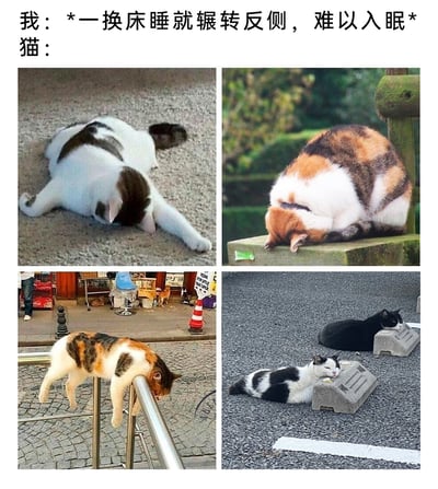 这是一张多图拼接的搞笑反差梗图，上方文字先描述人类「一换床睡就辗转反侧，难以入眠」的睡眠敏感状态，下方四张实拍图展示了猫咪完全相反的随遇而安：左上角的白棕黑花色猫咪直接在地面上伸展身体熟睡；右上角的三花猫蜷在户外石台上睡得香甜；左下角的三花猫把街头的金属栏杆当作休息处，身体挂在栏杆上就进入了梦乡；右下角的黑白猫和黑猫分别趴在路边的路障上，睡得十分安稳。通过人类与猫咪在睡眠环境适应性上的强烈对比，制造出幽默效果，调侃了睡眠环境敏感的人群，也凸显出猫咪随时随地都能入睡的超强适应力，容易引发有换床失眠经历的人的共鸣。