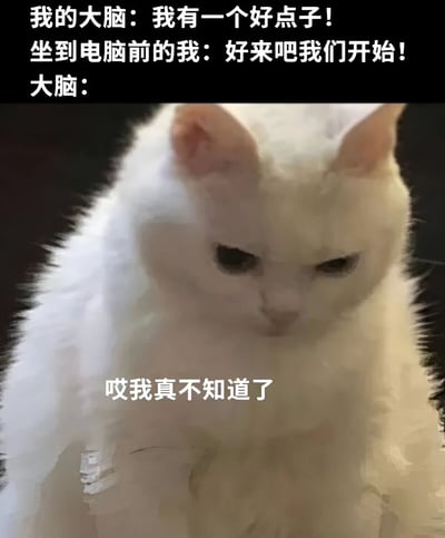 图片上方是三段文字对话，内容为“我的大脑：我有一个好点子！坐到电脑前的我：好来吧我们开始！大脑：哎我真不知道了”，下方是一只白色猫咪低头坐着，眼神迷茫，表情困惑。整体通过猫咪的无奈表情与文字内容结合，幽默地展现了人们常有创意灵感却在实际执行时突然失忆的日常困境，引发共鸣。