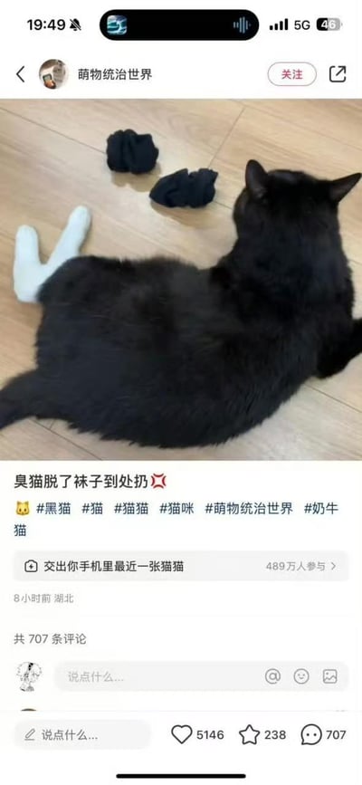 这是一张来自小红书平台的社交媒体帖子截图，主体内容是一只趴在木质地板上的黑猫，它的一条后腿被通过修图软件P上了一只白色袜子，旁边还摆放着两只被“脱下”的黑色袜子。帖子文案用拟人化的语气调侃道“臭猫脱了袜子到处扔”，搭配警示表情符号，营造出猫咪像人一样脱袜子乱扔的搞笑场景。帖子附带了#黑猫 #猫 #猫猫 #猫咪 #萌物统治世界 #奶牛猫多个话题标签，还发起了“交出你手机里最近一张猫猫”的互动话题，已有489万人参与。该帖子发布于8小时前，地点显示为湖北，目前有707条评论，获得5146个点赞、238个收藏，整体风格趣味十足，旨在分享搞笑的宠物相关内容，吸引宠物爱好者互动。