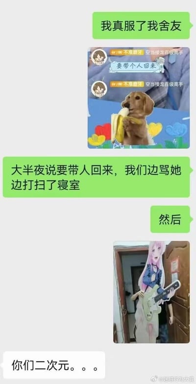 这是一段充满反差感的聊天记录梗图：楼主向朋友吐槽自己的室友大半夜说要带人回寝室，众人一边吐槽一边紧急打扫寝室，结果室友带回来的是《BanG Dream! It's MyGO!!!!!》里千早爱音的等身立牌，让对话的对方发出“你们二次元。。。”的吐槽，整个场景充满了二次元爱好者的搞笑乌龙感，反差拉满，十分有趣。