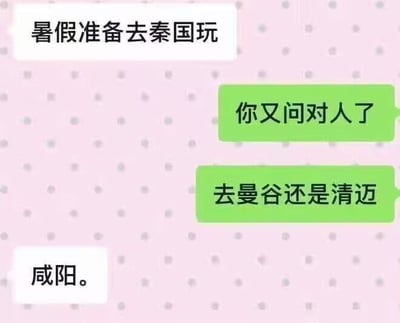 这是一张仿微信聊天界面的截图，背景为浅粉色带有灰色小波点，白色消息气泡为发言方A的消息，绿色气泡为发言方B的消息。对话内容为：A先说“暑假准备去秦国玩”，B误以为A说的是谐音的“泰国”，于是回复“你又问对人了”、“去曼谷还是清迈”，随后A给出答案“咸阳。”，利用“秦”与“泰”的中文发音相近制造误解反差，对应历史上秦国的都城为咸阳，点明此处的“秦国”是指我国古代的秦国而非泰国，形成搞笑效果。