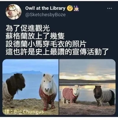 这是一张X（原推特）平台的社交媒体截图，账号“Owl! at the Library”（@SketchesbyBoze）发布了该内容。内容包含一段繁体中文说明，大意是苏格兰为了促进旅游观光，发布了一组设德兰小马穿着毛衣的照片，称这是史上最棒的宣传活动。图片底部有译者标注“譯：Big Chungus”。下方拼接了四张照片，展示了两只不同毛色的设德兰小马，它们分别穿着格纹和花纹的针织毛衣，站在有水域和开阔天空的户外草地上，小马模样憨态可掬，可爱的形象极具吸引力，非常适合作为旅游宣传内容，能引发人们对苏格兰的兴趣。