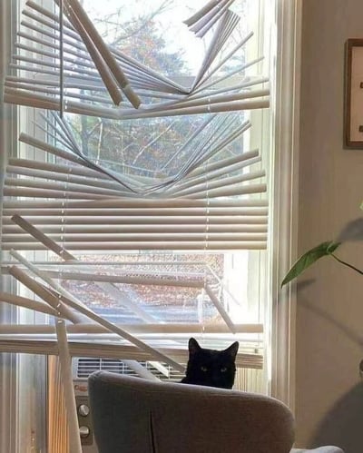一只黑猫坐在被严重损坏的百叶窗后面，百叶窗的多个叶片断裂并扭曲成不规则形状。猫正直视镜头，表情略显严肃。窗外可以看到树木和建筑物的模糊景象，室内右侧有一株植物和墙上的相框。这张照片可能是在展示宠物造成的破坏，或者营造一种神秘、略带紧张的氛围。