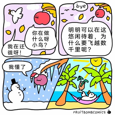 这是一则四格连环卡通漫画，采用拟人化的创作手法：左上分镜中，挂在枝头的苹果看到正在飞行的小鸟，询问对方在做什么，小鸟回答自己正在迁徙；右上分镜里，苹果疑惑小鸟为何放着悠闲的日子不过，非要飞越千里迁徙，小鸟和苹果道别后飞走；左下分镜切换到冬天的场景，苹果被冻在带有冰锥的枝头，旁边的雪人在雪中挥手，苹果此时发出“我懂了”的感慨；右下分镜则展示了小鸟的现状：它躺在热带沙滩的吊床上，喝着带装饰的饮品，在明媚的阳光下享受温暖惬意的时光。漫画通过冬夏两个场景的强烈对比，以幽默的方式点明了动物迁徙的意义——避开严寒，去往温暖的地方享受舒适的生活。