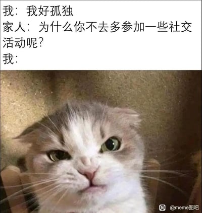 这是一张精准戳中社恐人群心声的图文meme图，上方呈现了一段日常对话：倾诉孤独的“我”收到家人“多参加社交活动”的建议，下方用一只表情委屈、眼神满是无奈抗拒的折耳猫来作为“我”的回应，生动地表现出社恐人群在面对这类建议时，内心那种想解释却无从说起、抗拒社交又无法直白回应的纠结与窘迫，是对社恐日常的真实吐槽。