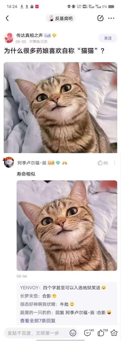这是百度贴吧‘反基腐吧’的一则帖子截图，楼主提问‘为什么很多药娘喜欢自称‘猫猫’？’并配了一张表情微妙的歪头狸花猫图。用户‘阿季卢尔福-辰’回复‘寿命相似’，这个回复属于地狱笑话，暗指长期使用激素的跨性别女性（药娘）寿命较短，引发其他用户评论调侃，称其可以入选地狱笑话，整体是带有恶意的网络调侃内容。