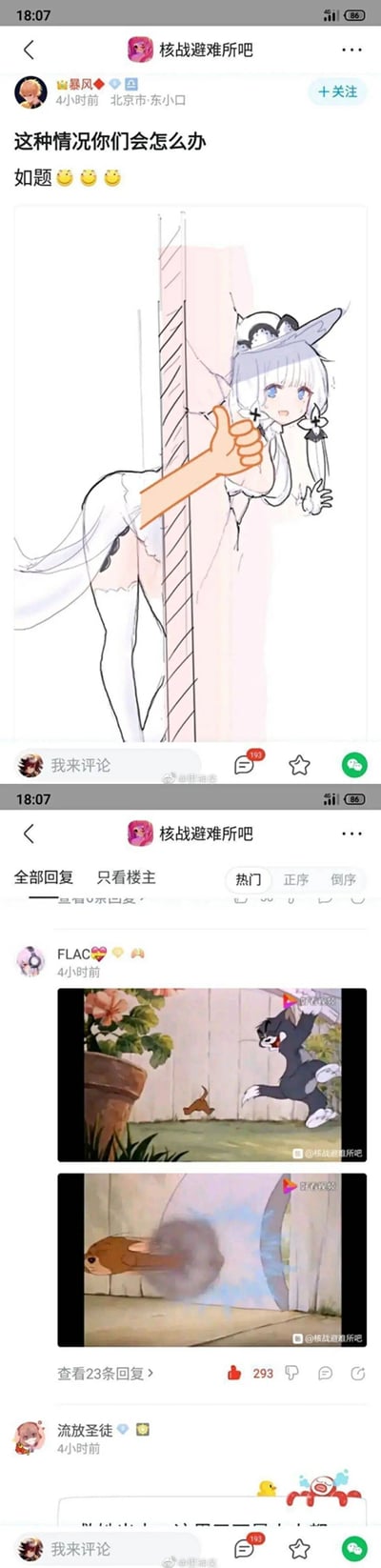 这是一张百度贴吧的手机屏幕截图，分为上下两部分：上半部分是“核战避难所吧”用户“暴风”发布的帖子，楼主分享了一张视觉错位的卡通插画，画面中的卡通女孩被杆子和手绘手臂形成的错位效果，呈现出“被拍在墙上”的视觉错觉，楼主配文“这种情况你们会怎么办”向网友发起趣味提问；下半部分是该帖子的热门回复，用户“FLAC”用经典动画《猫和老鼠》里杰瑞穿墙、汤姆追赶的两张截图作为回应，用动画中的经典穿墙情节来“解决”楼主提出的错位场景，是网友间用梗图进行的趣味互动，充满网络玩梗的轻松氛围。