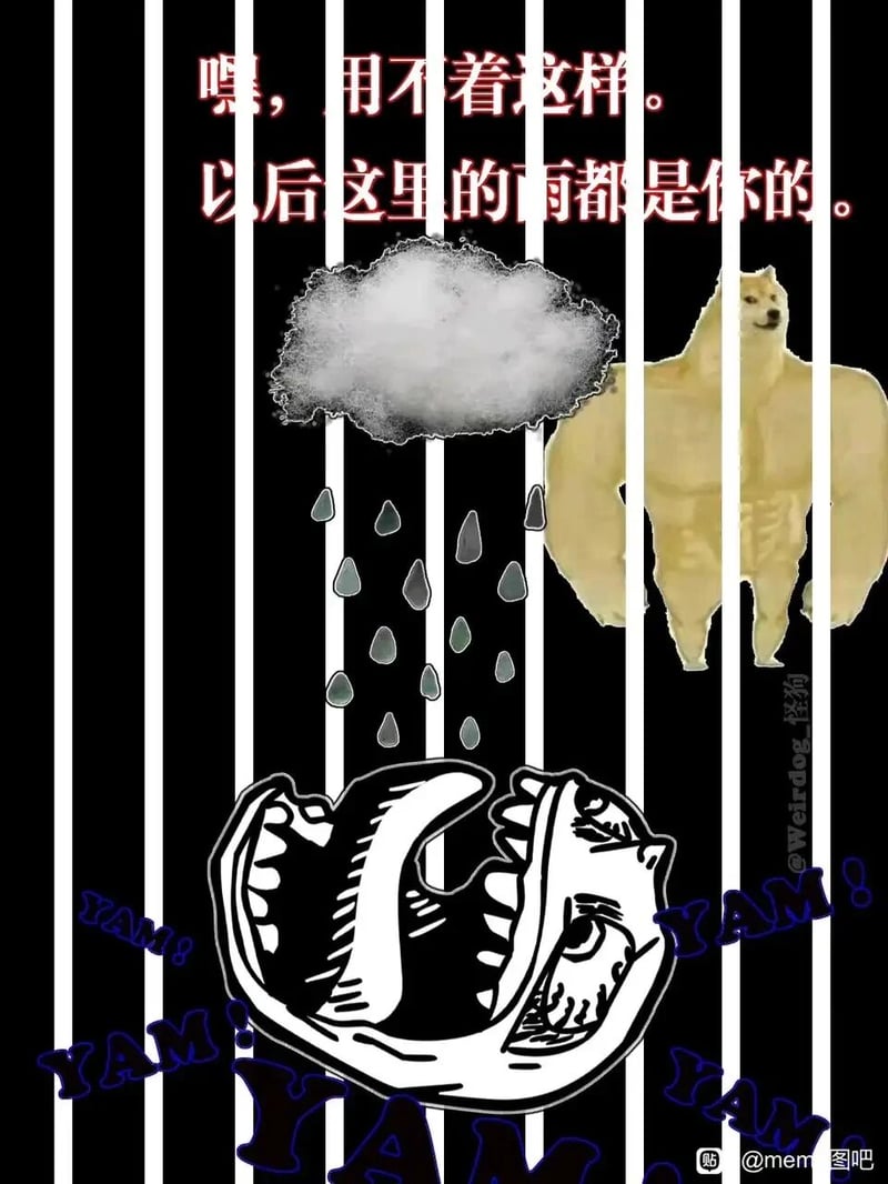 网络meme模板