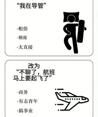 这是一张上下对比的梗图，通过两种不同表达方式的对比制造幽默效果。上图展示了直白粗俗的说法"我在导管"，并标注了"粗俗、颓废、太直接"的负面标签，旁边是一个躺着的简笔画人物形象。下图则展示了更体面的说法"不聊了，航班马上要起飞了"，并标注了"商务、有志青年、搞事业"的正面标签，旁边是一个飞机简笔画。这种鲜明对比讽刺了人们在不同场合使用不同表达方式来塑造形象的现象。