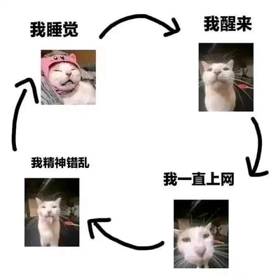 这是一张由四张猫咪图片拼接而成的连环图文混排图，通过黑色箭头串联形成一个循环闭环，用四只神态各异的猫咪形象对应人的四种生活状态：左上角的猫咪戴着粉色头套，闭眼呈现酣睡的模样，配文“我睡觉”；右上角的猫咪眼神清醒、表情平静，配文“我醒来”；右下角的猫咪凑近镜头，眼神涣散，配文“我一直上网”；左下角的猫咪表情呆滞、神态恍惚，配文“我精神错乱”。整个循环生动调侃了部分人群睡醒后长时间沉迷上网，最终导致精神状态变差，又回归睡眠的重复生活模式，用猫咪的形象放大了这种状态的荒诞感，精准戳中当代年轻人宅家生活的痛点，容易引发共鸣。