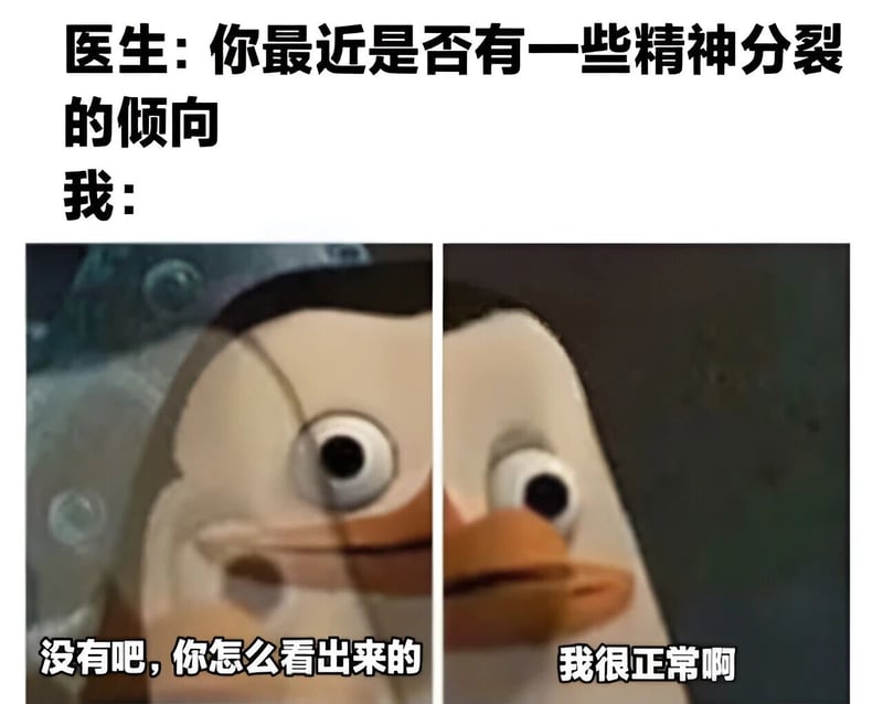 马达加斯加的企鹅