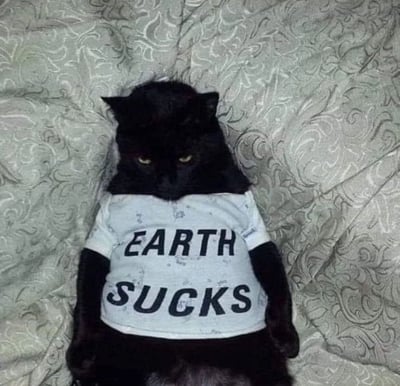 一只纯黑色的猫咪正慵懒地躺卧在带有复杂花纹的浅色床单上，它穿着一件印有黑色粗体文字“EARTH SUCKS”的白色T恤。猫咪的黄色瞳孔微微眯起，眼神中透露出一丝不耐烦与冷漠，整体姿态和表情与T恤上的文字形成有趣呼应，仿佛在表达对世界的“嫌弃”。
