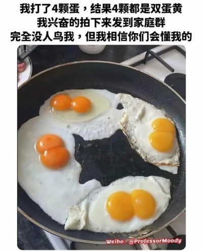 这张图片是一个趣味生活图片加配文梗图：锅中有四枚鸡蛋，每颗都是稀有的“双黄蛋”，让人觉得十分幸运。上方配文表达了作者尝试和家人分享喜悦却没人回应的无奈和幽默，配合图片本身的稀奇场面，形成一种生活小确幸被冷落后的搞笑反差。双关部分在于“双黄”本身有幸运、罕见之意，也侧面调侃家庭群话题冷清。
