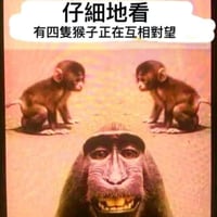 猴子
