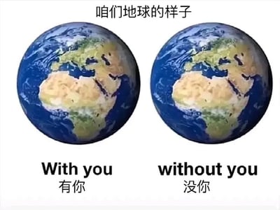 这张梗图展示了两张几乎完全一样的地球图片，分别配有“有你”和“没你”两个对比，配合上方“咱们地球的样子”字样，表达‘没有你地球也没啥变化’的调侃和自嘲，常用于友谊、恋爱或社交时调皮地表示“你其实没那么重要”。该梗图常见于中文社交网络。

本图为讽刺类轻度冷漠，存在‘有你和没你差别不大’的双关暗示。