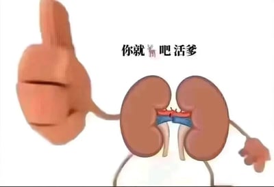 这是一张搞怪的网络表情包，主体是被拟人化的肾脏形象，它被添加了手臂，左手竖起大拇指，呈现出戏谑的姿态。图片上方配有文字“你就🦌吧活爹”，其中使用了中文谐音梗，🦌（鹿）谐音“离”，实际想要表达的是“你就离谱吧活爹”，“活爹”是北方口语中带有调侃、无奈情绪的称呼，通常用于吐槽对方的行为离谱，整体内容通过拟人化的身体器官和谐音梗，营造出搞笑、吐槽的氛围，适合在日常社交聊天中用来表达对他人行为的不满或调侃。