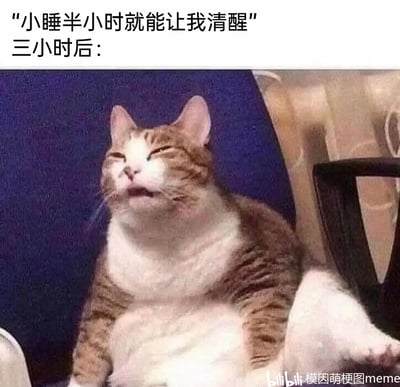这是一张充满共鸣感的搞笑梗图，上方文字先提出“小睡半小时就能让我清醒”的计划，紧接着用“三小时后：”引出下方的画面——一只橘白相间的胖猫咪，它双眼紧闭，嘴巴微张，仰头坐着，神态迷糊慵懒，满脸昏沉感，完美还原了很多人本想小睡片刻，却不小心睡了很久，醒来后不仅没有达到清醒的目的，反而更加昏沉懵然的真实状态，精准戳中了人们控制不住睡眠时间的日常经历，带来搞笑又真实的体验。