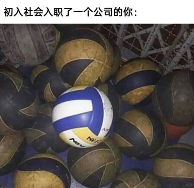 这是一张职场主题的趣味梗图，顶部配有文字“初入社会入职了一个公司的你：”。画面中，一堆外观老旧、表皮磨损严重的篮球将一个崭新的蓝白黄配色排球围在中间，通过这种视觉上的强烈对比，隐喻初入职场的新人：新人就像这个干净崭新的排球，和已经在职场中被“打磨”得失去最初模样的老员工（对应老旧篮球）形成鲜明反差，生动又形象地表现出职场新人刚进入公司时，在一群资深员工中间显得格格不入、格外突出的状态，精准戳中职场新人的初期体验。