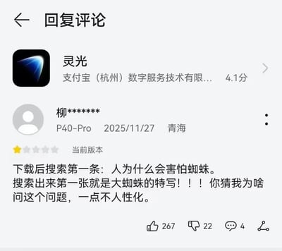 社交媒体评论回复界面截图，显示用户对“灵光”应用的吐槽。用户“柳******”（使用P40-Pro，来自青海）于2025年11月27日对当前版本给出一星评价，评论内容为：下载后搜索第一条‘人为什么会害怕蜘蛛’，搜索结果第一张即是大蜘蛛特写，质疑应用不人性化，表达强烈不满。界面显示应用名为‘灵光’，开发者为支付宝（杭州）数字服务技术有限公司，评分4.1分。
