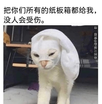 这是一张经过P图改编的文字加注静态单图，图中的白色猫咪被添加上了一块白色布料作为头巾，猫咪本身表情严肃，半眯着眼睛，神态看起来有些凶狠，搭配图片上方的文字“把你们所有的纸板箱都给我，没人会受伤。”，形成了强烈的反差搞笑效果。因为猫咪天生喜欢钻纸板箱，这里用类似黑帮大佬放狠话的霸气语气来索要猫咪喜爱的纸板箱，将猫咪的小爱好用夸张的方式呈现，显得滑稽有趣，十分贴合网络梗图的幽默风格。图片右侧带有水印，标注了翻译来源为微博用户@野猪川苦茶。
