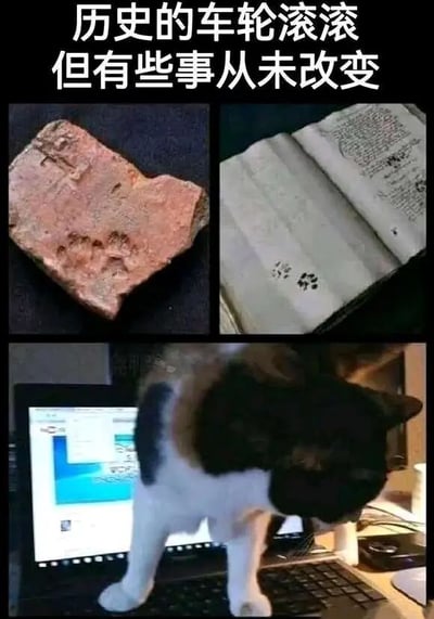 图片由三张图片拼接而成，上方配有文字'历史的车轮滚滚 但有些事从未改变'。左上角是一块带有爪印的古老砖块，右上角是一本翻开的旧书上有爪印，下方是一只猫正踩在电脑键盘上。通过不同时代的场景对比，幽默地展现了猫咪从古至今都喜欢留下'印记'（捣乱）的不变特性。