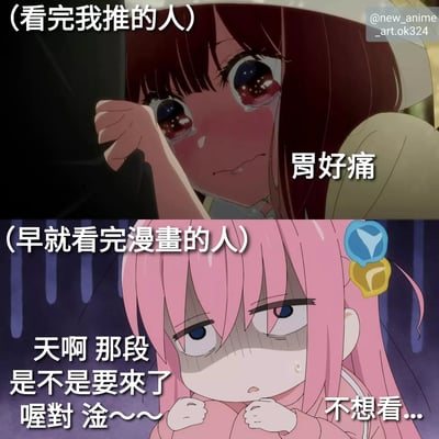 这是一张上下对比的动漫梗图，展示了动画党和漫画党观看同一部作品时的不同反应。上图是刚看完动画的人，表情痛苦地说"胃好痛"；下图是早就看完漫画的人，表情担忧地说"天啊 那段是不是要來了 喔對 淦~~~ 不想看..."，体现了知道剧情发展的人对即将到来的情节的恐惧。