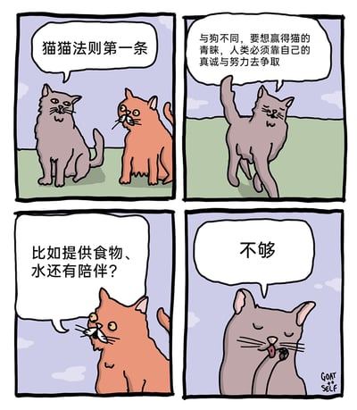 这是一幅四格连环卡通漫画，围绕“赢得猫咪青睐”的主题展开幽默叙事：第一格中灰猫向橘猫提出“猫猫法则第一条”；第二格灰猫解释，和狗狗不同，人类必须靠真诚与努力才能赢得猫的青睐；第三格橘猫疑惑地询问，是不是提供食物、水还有陪伴就符合要求；第四格灰猫淡定地给出“不够”的回应，用反差感调侃了猫咪傲娇、难以满足的高冷性格，精准戳中养猫人群的共鸣，以猫咪的视角制造出搞笑的反差效果。