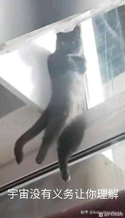 图中是一只真实拍摄的黑猫，因视觉错位效果，它以类似人形的怪异姿势挂在玻璃窗上方，身体下半部分悬空，看起来既滑稽又荒诞。图片下方配有文字“宇宙没有义务让你理解”，用猫咪的怪异画面搭配带有哲学感的文案，形成强烈反差，常被用来表达对无法理解的人或事的释怀，或是吐槽那些难以搞懂的状况，风格搞笑又带有一丝摆烂的态度。