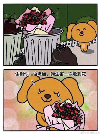 这是一幅由两格组成的连环卡通漫画，整体风格治愈暖心。第一格呈现的是户外的垃圾桶场景，其中一个垃圾桶内被丢弃着一束包装完好的红玫瑰花，旁边的卡通小狗正带着开心的笑容注视着这束花；第二格中，小狗将这束花从垃圾桶中取出并抱在怀里，它的脸上流下感动的泪水，同时说出“谢谢你，垃圾桶，狗生第一次收到花”的台词，背景也变为暖色调的模糊光斑，将原本被丢弃的遗憾感转化为小狗收获礼物的温暖氛围，通过简单的情节传递出即使是被人舍弃的物品，也能成为他人眼中珍宝的治愈情绪。