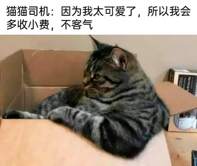 这是一张文字加注类静态梗图，画面主体是一只虎斑猫，它趴在纸箱边缘，前爪搭在纸箱上，姿态仿佛坐在驾驶位上，表情傲娇，眼神斜睨，神态带着理直气壮的小得意。图片上方添加了拟人化的配文：“猫猫司机：因为我太可爱了，所以我会多收小费，不客气”，将猫咪拟人化为“司机”，以“可爱”为理由调侃要多收小费，结合猫咪的傲娇神态，制造出幽默搞笑的效果，属于宠物拟人化的趣味创作，很容易引发喜爱宠物的网友的共鸣。