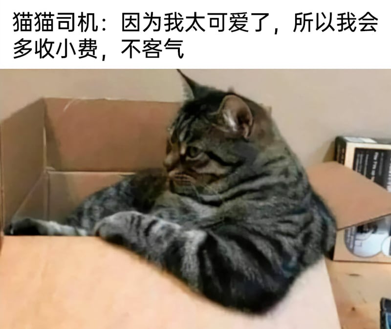 司机