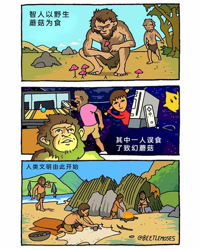这是一幅三格连环卡通漫画，以荒诞幽默的脑洞演绎人类文明起源的另类猜想。第一格展现原始智人的生存场景：在野外的荒地上，一名智人正蹲身采摘粉色带白点的野生蘑菇，配文说明智人以野生蘑菇为食；第二格描绘其中一名智人误食致幻蘑菇后的状态：该智人神情恍惚，眼前出现幻觉，幻觉里是现代人类玩体感保龄球游戏、Wii游戏主机与卡通游戏角色的场景，配文点明其误食了致幻蘑菇；第三格呈现原始人类进入定居文明的画面：智人们搭建起简易房屋、生火取暖、外出捕鱼，配文称人类文明由此开始，暗示致幻蘑菇带来的幻觉启发了人类的创造力，推动了文明的诞生。