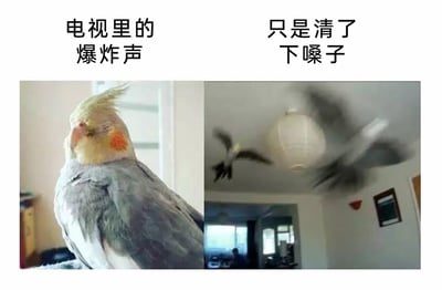 暂无描述
