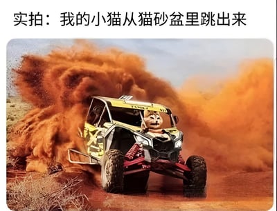图片上方配有文字“实拍：我的小猫从猫砂盆里跳出来”，下方是一张合成图片：黄色越野车在沙漠中高速行驶，扬起巨大红色尘土，驾驶座人物脸部被替换成表情淡定的小猫脸。通过将小猫跳出猫砂盆的日常场景夸张类比为越野车飞驰扬沙的壮观画面，形成强烈反差，幽默调侃猫咪跳猫砂盆时散落猫砂的“破坏力”。