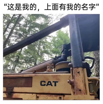 图片上方配有文字“这是我的，上面有我的名字”，下方是一只猫咪坐在黄色CAT品牌工程机械的部件上，背景为茂密的森林。猫咪的表情看起来既警惕又带着一丝得意，仿佛在宣示对这台机器的所有权。图片通过文字与“CAT”品牌名（英文中“cat”即“猫”）的谐音梗制造幽默效果，猫咪将机器上的“CAT”标识误认为是自己的名字，从而理直气壮地占据机器。