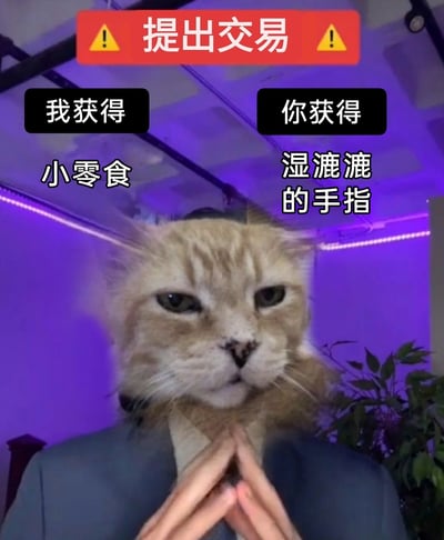 这是一张经过P图改编的搞笑趣味图片，创作者将橘猫的头部与穿着西装的人类身体合成在一起，猫咪表情严肃、略带不屑，眼神看起来有些嫌弃，搭配人类双手合十的谈判姿势，营造出一本正经的谈判氛围。图片上方有红色带黄色警示标志的“提出交易”字样，左右分栏标注了看似不公平的交易内容：代表猫咪的“我”获得小零食，交易对象“你”获得湿漉漉的手指，通过这种反差感十足的无厘头交易内容制造搞笑效果，模拟出一本正经提出不合理交易的滑稽场景。