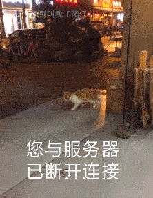 这是一张P图改编的动态梗图，画面中一只原本在店铺门口台阶上的猫咪，踩空后从台阶处摔落消失，画面下方配上了“您与服务器已断开连接”的文字，用猫咪突然消失的画面，形象地比喻网络连接中断、与服务器断开的状态，生动又搞笑。图的顶部还有“别叫我P图仔”的水印文字。
