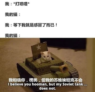 图中上方是四行对话文字，分别为“我：*打喷嚏*”“我的猫：”“我：等下我就是感冒了而已！”“我的猫：”，下方是一张照片，一只白猫坐在绿色的玩具坦克里，坦克上有一颗白色五角星，呈现苏维埃风格。照片下方配有文字“我相信你，楞类，但我的苏维埃坦克不会”及英文翻译“I believe you hooman, but my Soviet tank ... does not.”。通过拟人化手法赋予猫咪“怀疑主人健康状况并启动坦克防御”的趣味设定，用反差萌和夸张的军事元素制造幽默效果，展现宠物与主人间的搞笑互动日常。