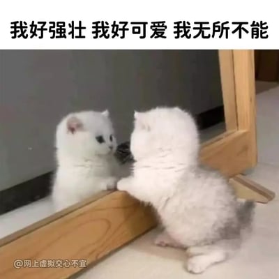 这张梗图是一只白色小猫蹲坐在镜子前，看着镜子的自己，神情认真，似乎在自我对话。图片上方配有文字：“我好强壮 我好可爱 我无所不能”，整体氛围是积极自信又带点可爱自恋式幽默。图片用猫咪天真的外表，结合充满正能量和自我鼓励的文字，形成强烈反差，常被用来自嘲、鼓励自己或朋友，轻松好玩。该梗无谐音、双关等，但用反差萌制造幽默。