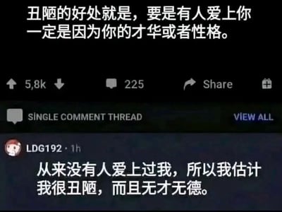 图片为社交媒体截图，上方黑色背景白色文字显示：“丑陋的好处就是，要是有人爱上你一定是因为你的才华或者性格。” 下方有互动数据：5.8k点赞、225条评论及“Share”分享按钮。评论区显示用户“LDG192”1小时前发布的评论：“从来没有人爱上过我，所以我估计我很丑陋，而且无才无德。” 整体通过自嘲式幽默形成反差笑点。