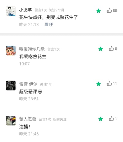 这是一张社交平台评论区的截图，置顶留言为用户“小肥羊”发布的“花生快点好，别变成熟花生了”，该留言获得88个赞；随后用户“哦搜狗你几级”留言“我爱吃熟花生”，与置顶留言形成趣味呼应；此外还有用户“雷诺·伊尔”留言“超级恶评💀”、用户“骇人恶兽”留言“逮捕！”，整体是网友在评论区的轻松玩梗互动，氛围诙谐有趣。