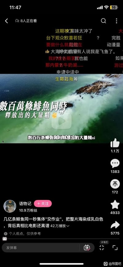 这是一张短视频平台的播放界面截图，画面核心是航拍的近海区域，数百万条鲱鱼同步释放生殖细胞，将大片海水染成类似牛奶的乳白色。视频自带的配文和字幕都在介绍这一特殊的自然现象，界面上方叠加了多条网友发布的弹幕，右侧是点赞、评论、收藏、转发等互动功能按钮及对应数据，下方显示该视频的发布者为拥有10.9万粉丝的账号“语物记”，还有该视频的简介内容，右下角带有“@吊图吧”的水印。这个场景因为将海水染成乳白色，被网友玩梗称为“真正的Milky Way（字面意思为牛奶路，正式含义为银河）”，也就是“真银河”。